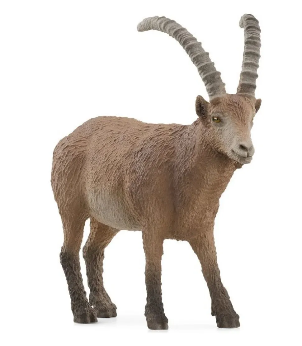 Schleich Ibex 14873
